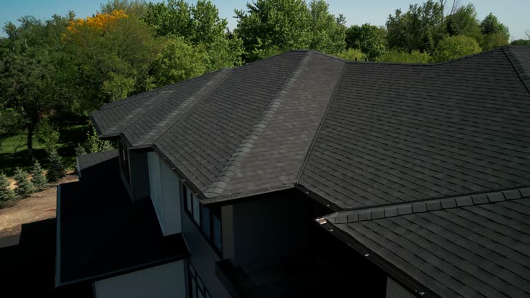 Best Roof Ventilation Installation  in Paulina, LA